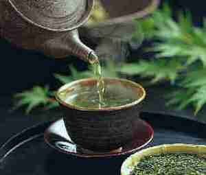 Cup of Green Tea Cup of Green Tea
