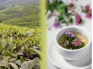 tea