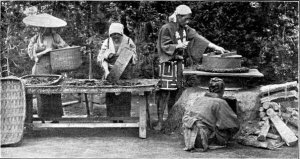 Steaming Tea Leaves