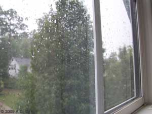 Rainy Window Rainy Window