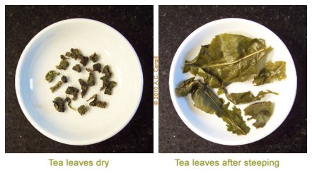 Tea_Blog_CATH-BHOComp