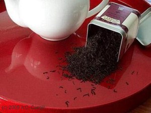 TSA Agent: "Looks suspicious to me!"