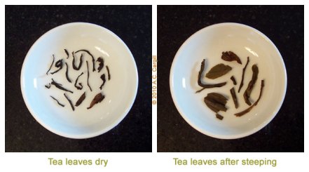 Tea_Blog_TP-DanCong-Comp