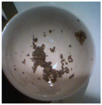 tealeaves What's in store for you in August?