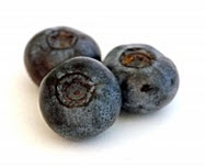 Blueberries are ready. Got whipped cream?