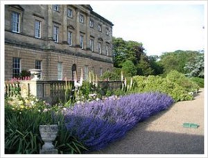 Howick Hall Gardens - Take a tour and then have a spot of tea in the tea house