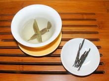 Kuding tea Ilex kudingcha