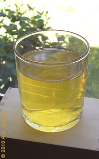 Bohemian Raspberry Tea Bohemian Raspberry Tea