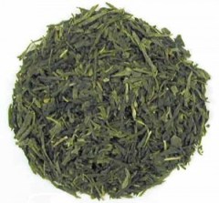 Sencha