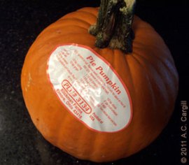 Pie Pumpkin