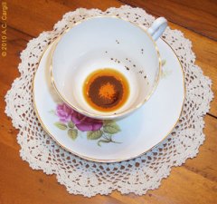 Empty teacups are terrible things! Empty teacups are terrible things!