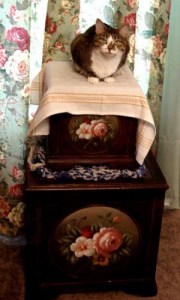 The kitties like to sit atop these boxes and keep us company. Today we’re hosting Tiffy.