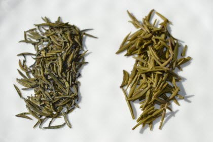 Picture to illustrate importance of storing teas Picture to illustrate importance of storing teas