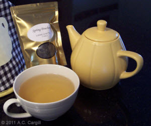 My buddy Little Yellow Teapot steeped up some Spring Pouchong for our rant session! (Photo source: A.C. Cargill, all rights reserved)