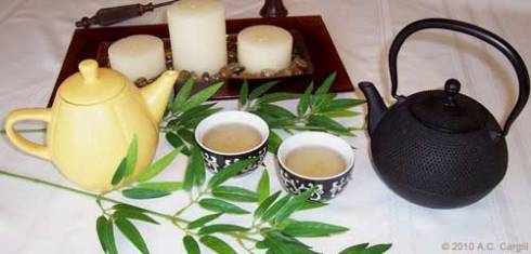 Snow Dragon White Tea (Photo source: A.C. Cargill, all rights reserved)