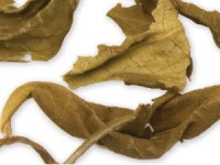 Yellow Tea from Davidson's Tea (Photo source: stock image) Yellow Tea from Davidson's Tea (Photo source: stock image)