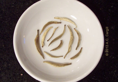 Tight leaves with a tender bud inside and a silky downy coating outside – the appearance of a truly fine white tea. (Photo source: A.C. Cargill, all rights reserved)