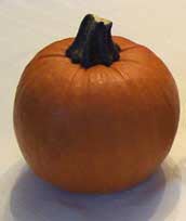 You think it's a pumpkin. I think it's a source of seed goodness! (Photo source: A.C. Cargill, all rights reserved) You think it's a pumpkin. I think it's a source of seed goodness! (Photo source: A.C. Cargill, all rights reserved)
