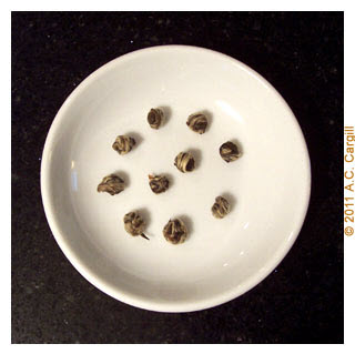 Dragon Pearls before steeping. (Photo source: A.C. Cargill, all rights reserved)