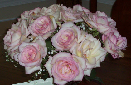Roses from hubby (Photo source: A.C. Cargill, all rights reserved)