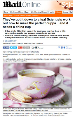 The Perfect Cuppa? (screen capture from site)