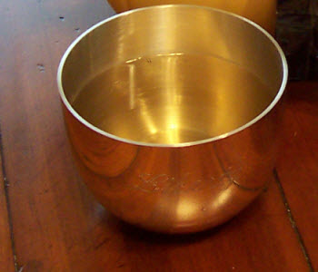 A lovely looking Silver Needle. (photo by A.C. Cargill, all rights reserved)