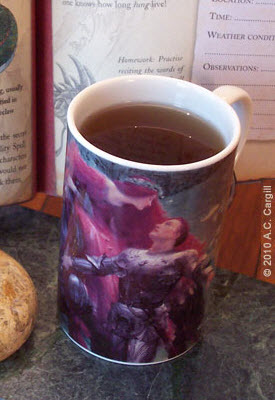 (photo by A.C. Cargill, all rights reserved)