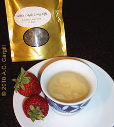 White Eagle Long Life (photo by A.C. Cargill, all rights reserved)