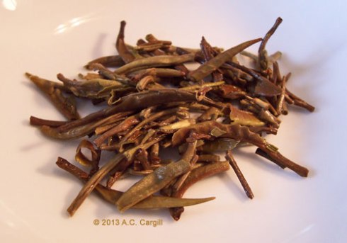 (Photo by A.C. Cargill, all rights reserved)