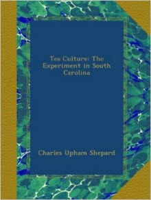 "Tea Culture: The Experiment in South Carolina" by Charles Upham Shepard (Screen capture from site)
