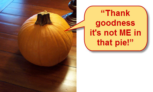 This pie pumpkin narrowly escaped his fate! (Photo by A.C. Cargill, all rights reserved)