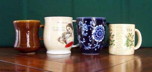 (Photo by A.C. Cargill, all rights reserved)