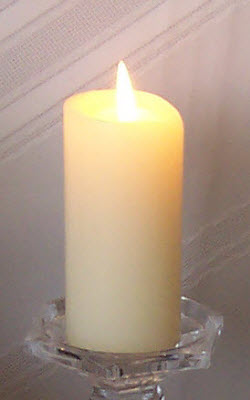 (Photo by A.C. Cargill, all rights reserved)