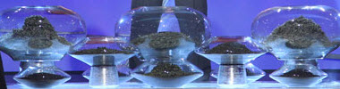 Tea awaits its fate on “Iron Chef” (Screen capture from site)