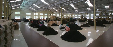 Amgoorie tea factory - busy supplying some of that tea! (screen capture from site)