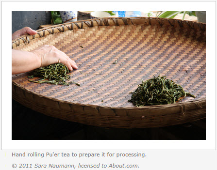 Rolling Pu'er Tea (Second Step in Making Pu'er Tea) – doing by hand is arduous and takes about 15 minutes per handful, so most of this step is now done by machine. (Screen capture from site)