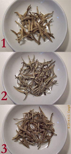 (Photo by A.C. Cargill, all rights reserved)