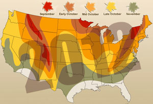 A “leaf peeping” map so you can find the best “shows”! (via Yahoo! Images)