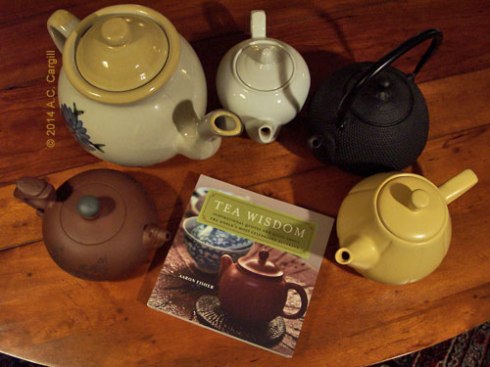 That little book is a teapot magnet! (Photo by A.C. Cargill, all rights reserved)