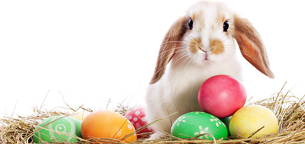 Happy-Easter-2016-2017-2018-2019-20202.jpg