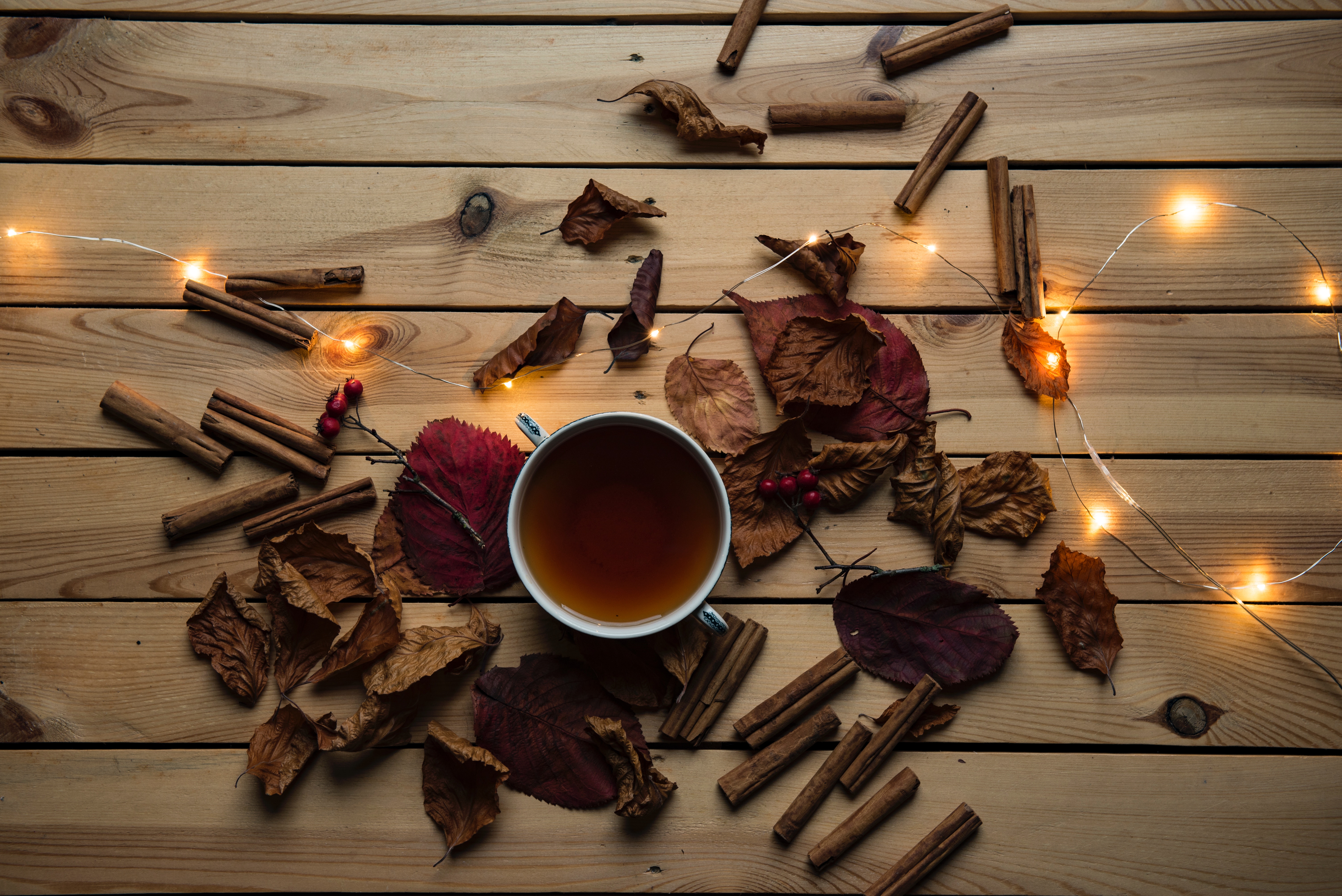 Zesty & Aromatic Spice Teas
